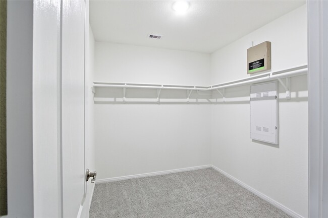 Building Photo - 4823 Lucky Fawn Ln