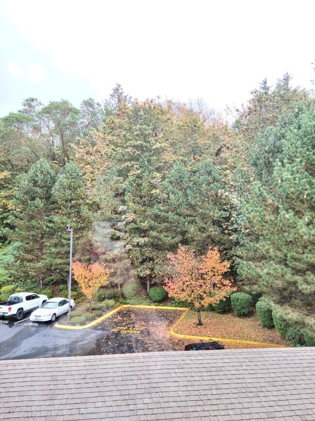 Building Photo - Spacious two bedroom condo!