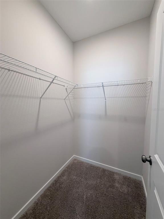 Building Photo - 36 Perseus Ave