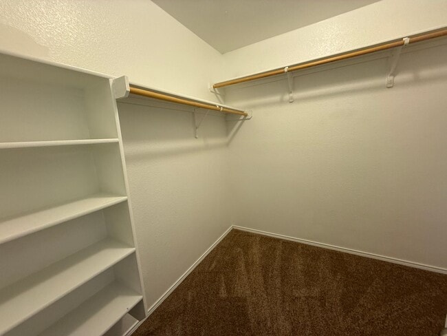 Building Photo - 2539 Red Fern Dr