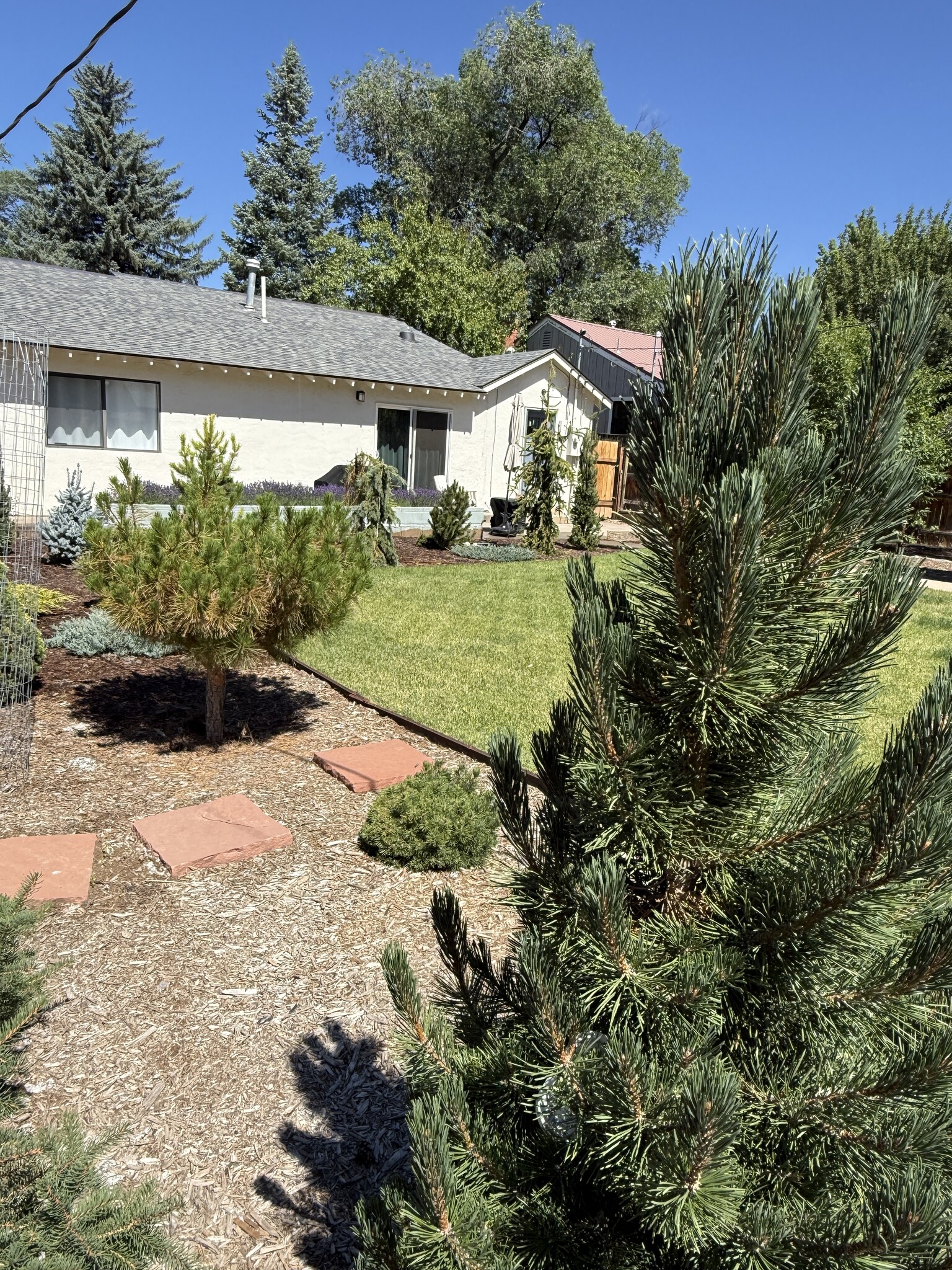 Back yard - 944 E 5th Ave
