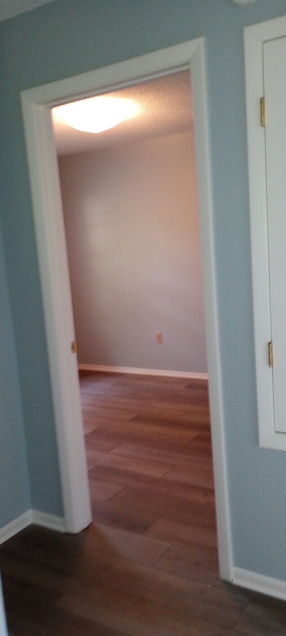 Into the back bedroom - 105 Magnolia Dr