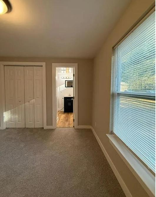 Building Photo - 221 Sheppard Pl