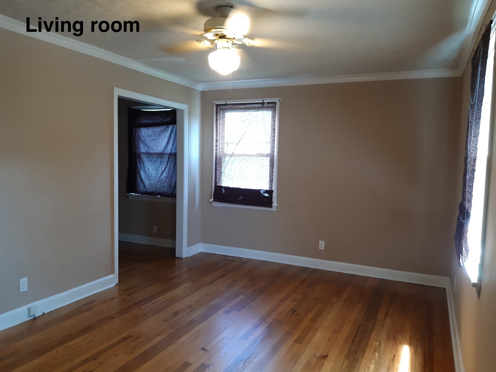 Building Photo - 105 Meadowbrook St