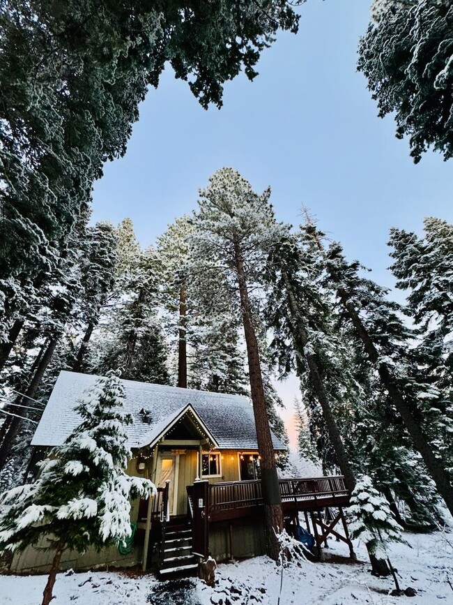 Primary Photo - SKI LEASE "Honey Bear Cabin"