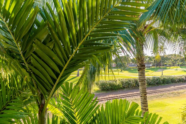 Building Photo - Welcome to this Beautiful Coconut Plantati...