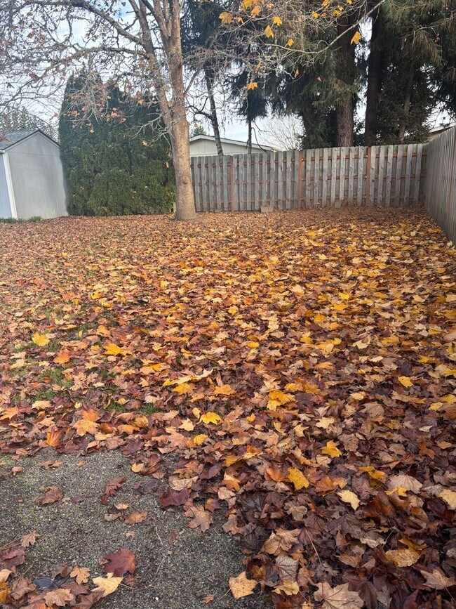 Building Photo - Beautifully Remodeled Single-Level House in North Newberg