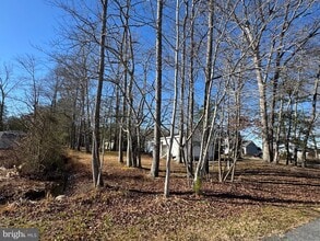 Building Photo - 37145 E Whitetail Dr