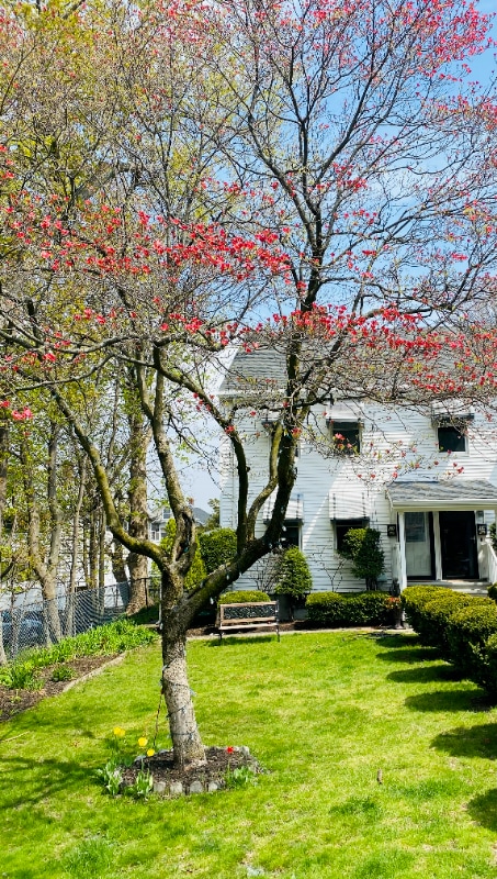 Primary Photo - 21 Union St