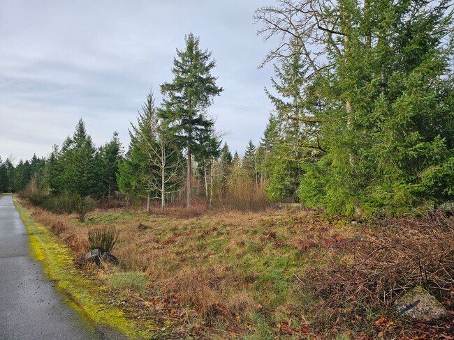 Building Photo - 4 Bedroom Home in Mountain Vista Community!