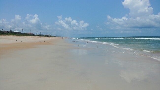 Beach looking north - 47 Sea Island Dr N