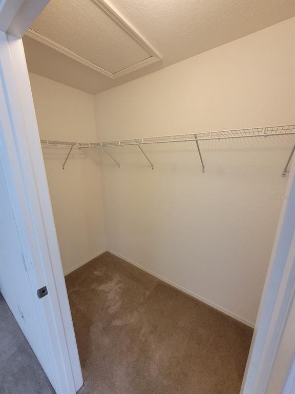 Building Photo - 36137 Lake Chase Blvd