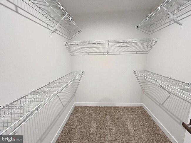 Building Photo - 338 Paca Gardens Ln