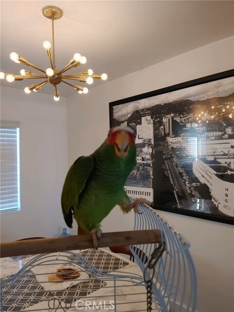 Building Photo - 1421 N Sunrise Way