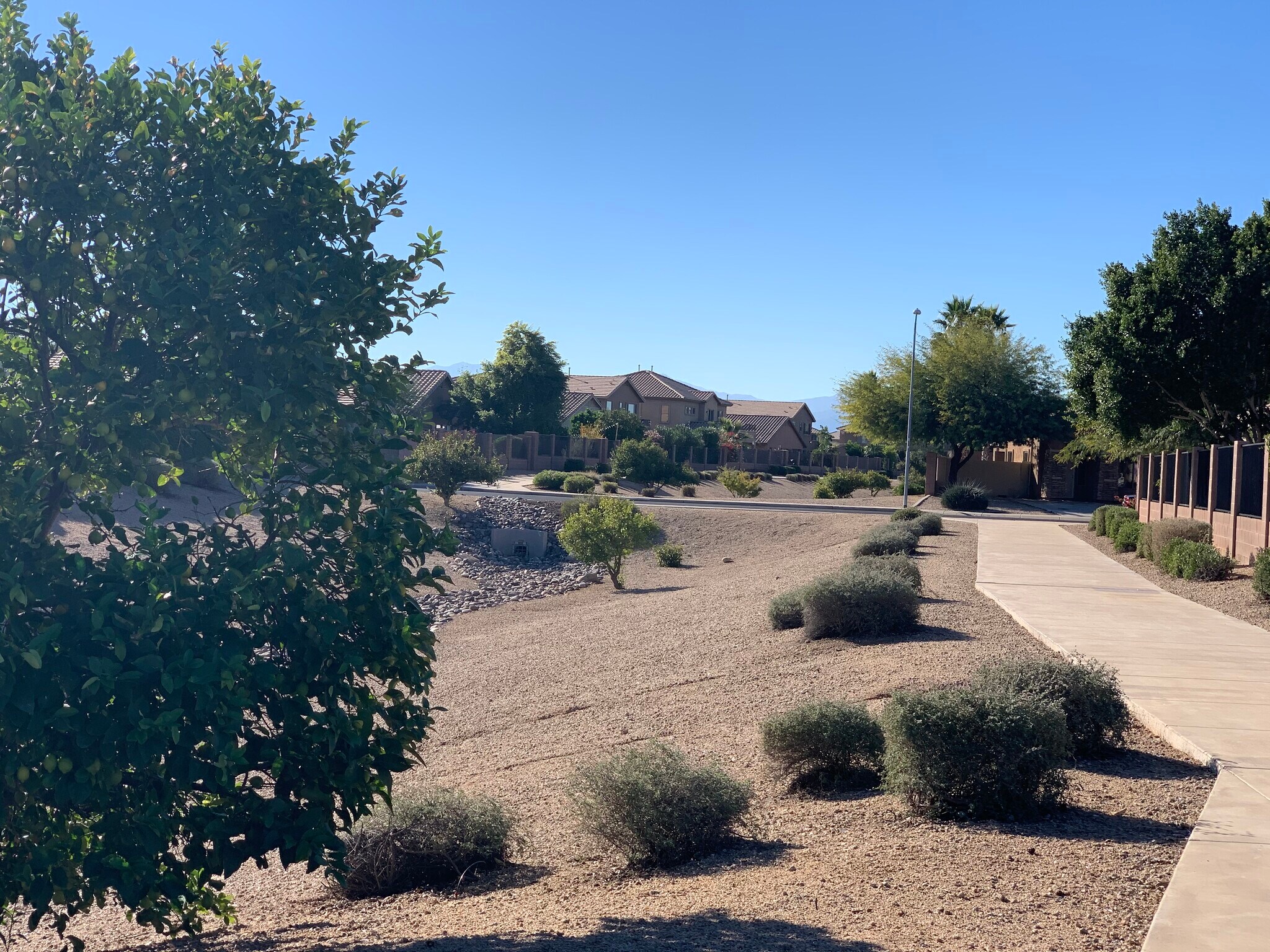 Spacious 4-bedroom, 2-bath home with soaring ceilings, gourmet kitchen, and a heated self-cleaning p - 16426 N 152nd Ln