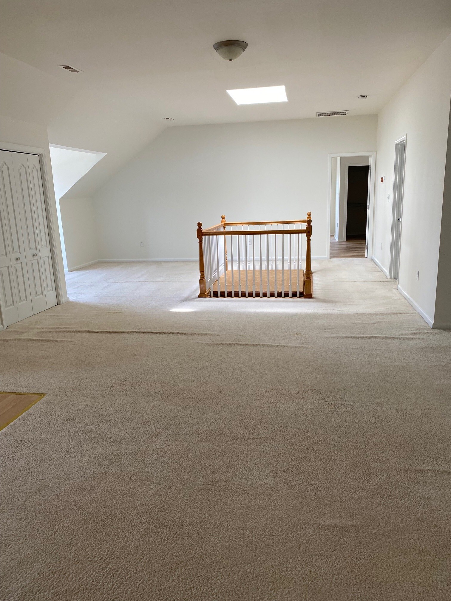 Living room with center railing and skylight - 97 Mount Soma Blvd