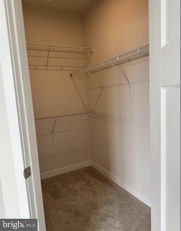 Building Photo - 5050 Orchid Bnd