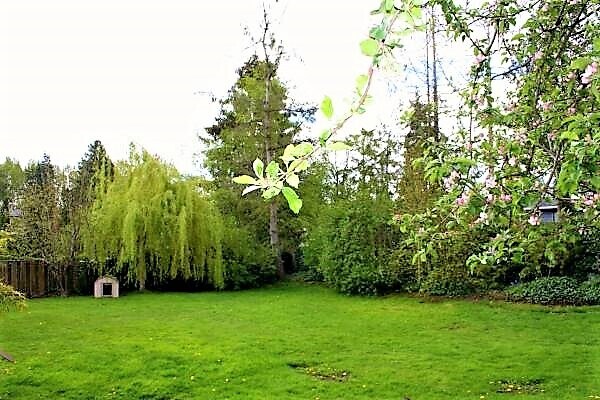 Building Photo - 7451 NE 146th St