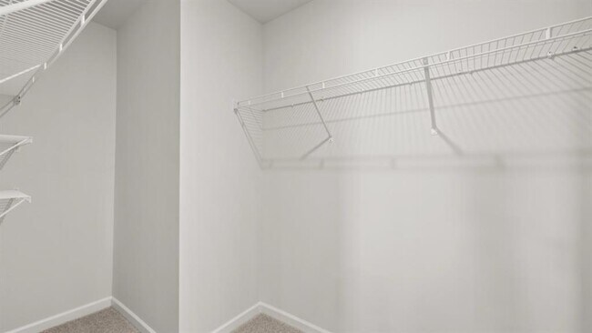 Building Photo - 2907 Daxton Ln