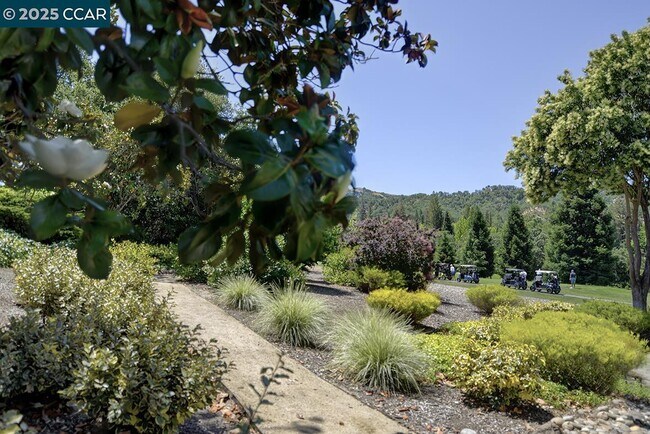 Building Photo - 3377 Rossmoor Pkwy