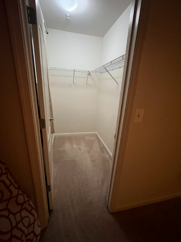 Building Photo - 11836 Little Seneca Pkwy