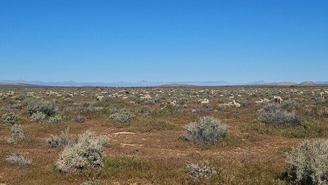 Building Photo - Rural Living at Its Finest – 2BR Home with Open Desert Views