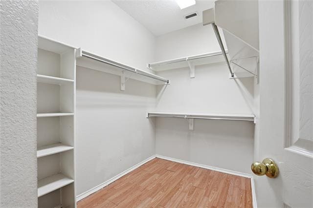 Building Photo - 728 Dandelion Dr