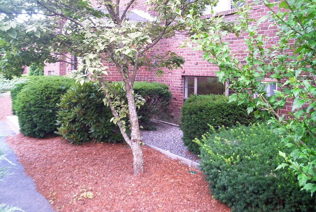 Front entrance - 23 Spencer Rd