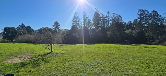 Building Photo - Privacy And Space In The Heart Of Rural West County. Minutes From Sebastopol And The Bay.