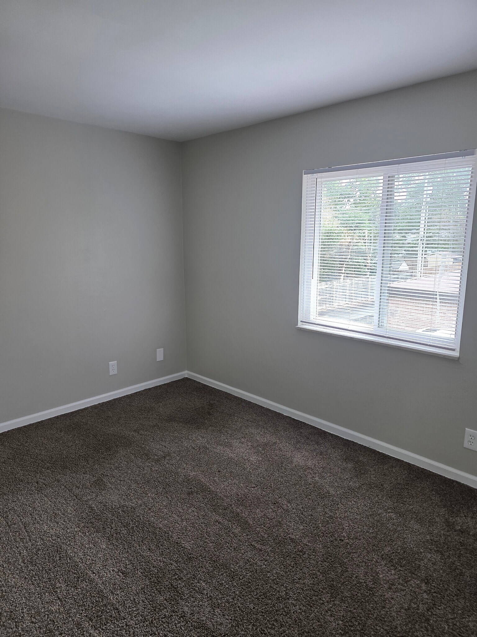 Building Photo - 487 Catalina Dr