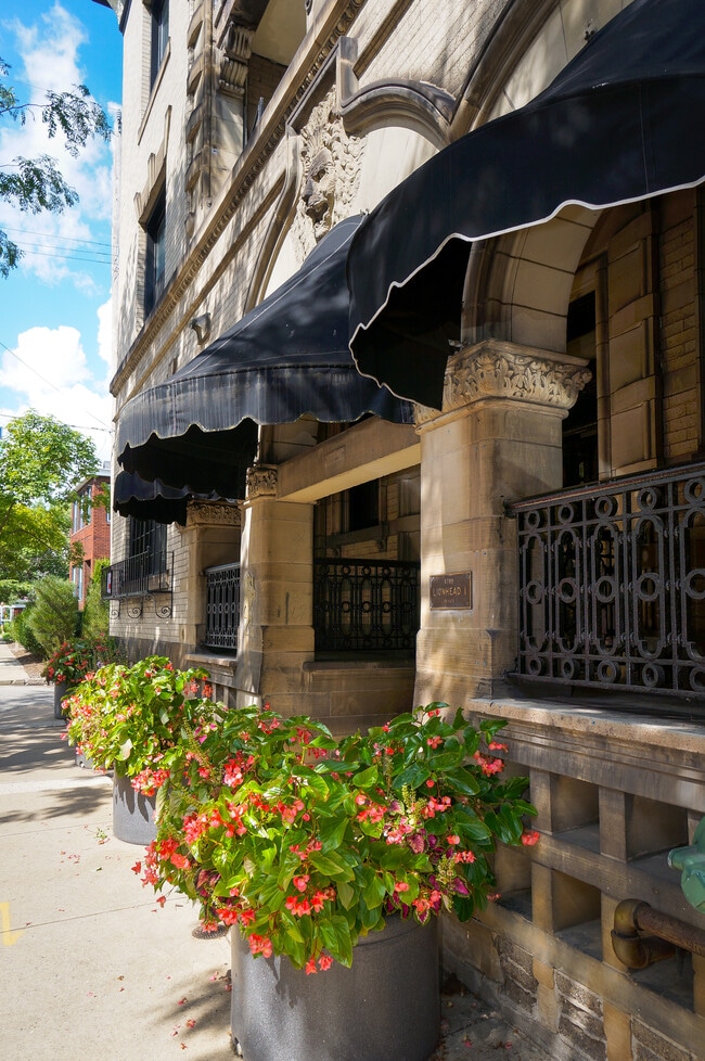 Lionhead 57555759 Howe St Pittsburgh PA 15232 Apartment Finder