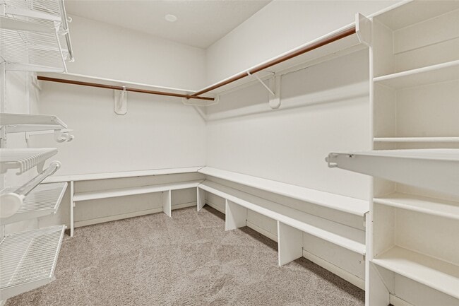 Building Photo - 4803 Drew Forest Ln