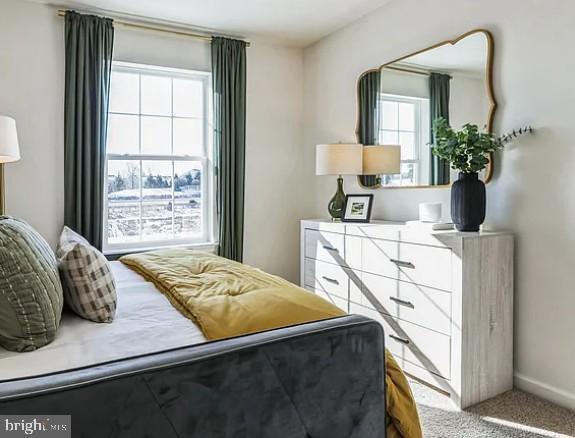 Building Photo - 8328 Alexander Ct