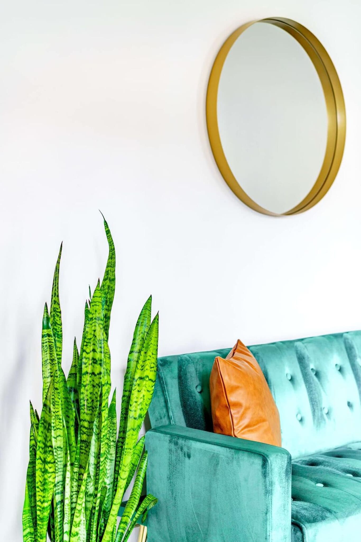 Building Photo - 241 W Water St