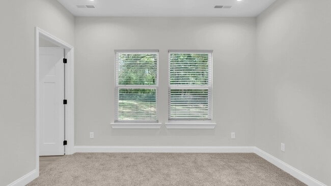 Building Photo - Brand new, 4 bedroom home!