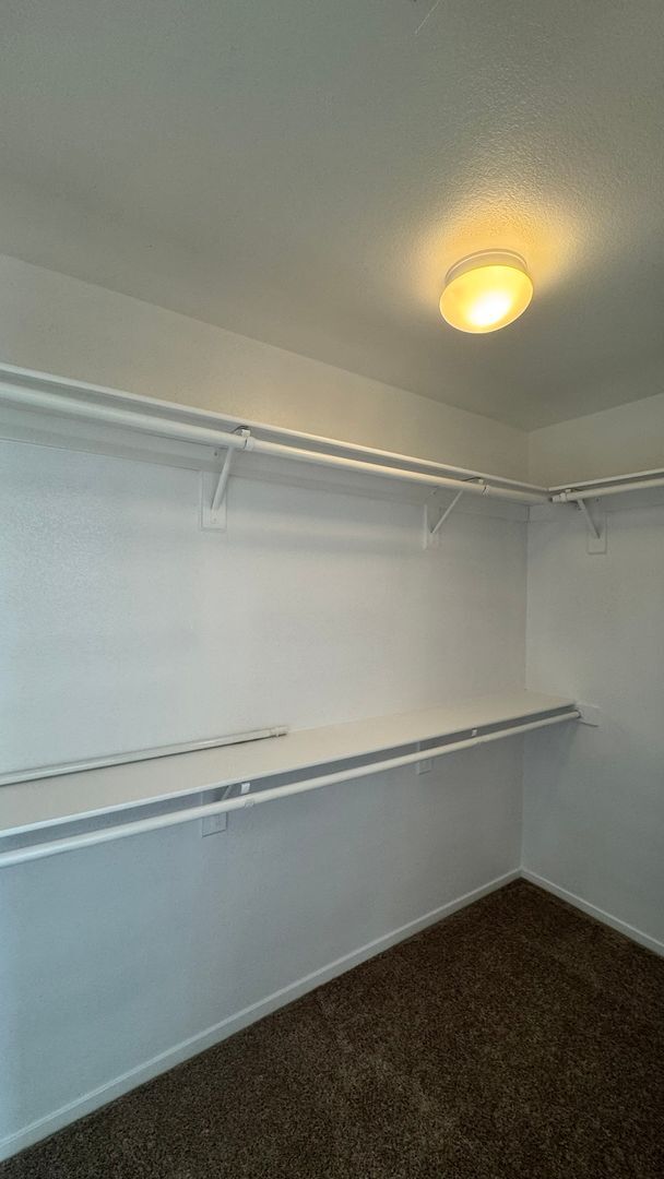 Building Photo - Executive Style 3 bedroom home