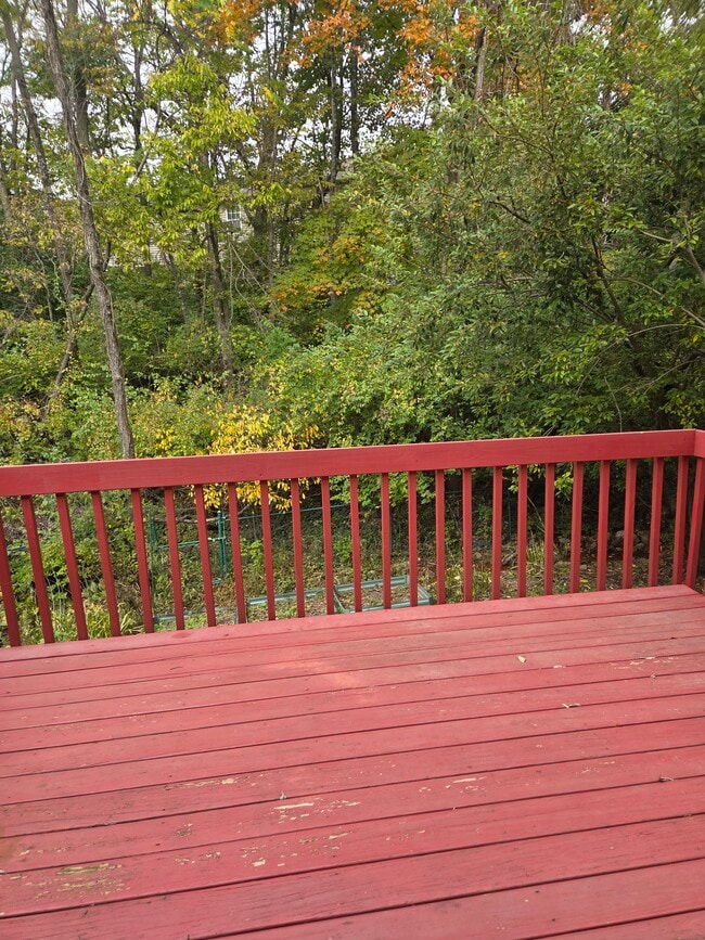 Deck - 2120 S Azalea Ln