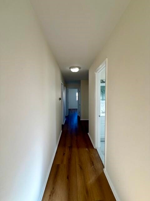 Building Photo - 71 Linnet St