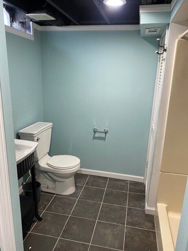 Full bathroom in lower level - 5065 Tubbs Rd