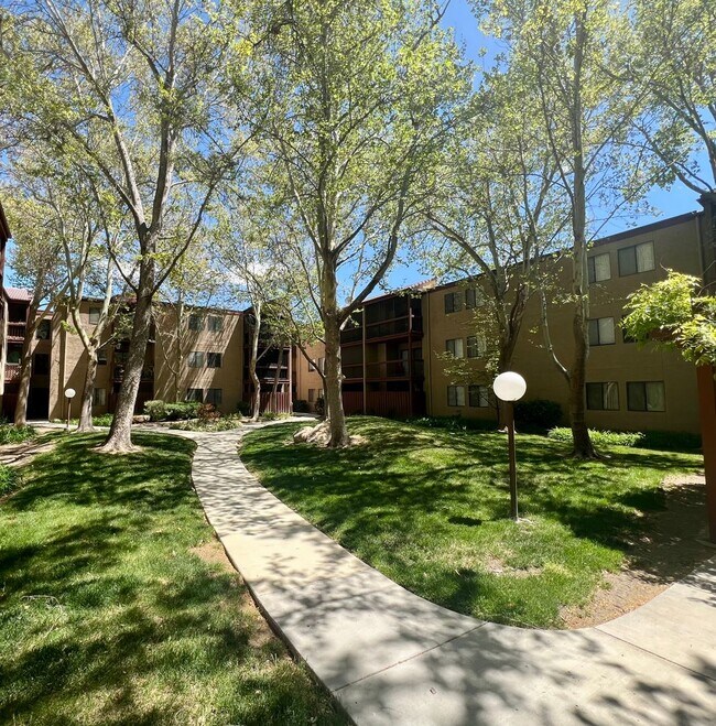 Primary Photo - Lakeside Plaza Condo