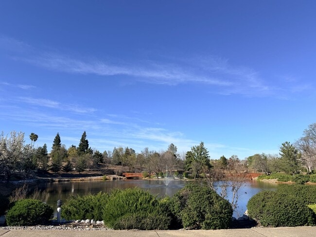 Building Photo - Beautiful Lakefront Home in the Vineyard! 55+ community