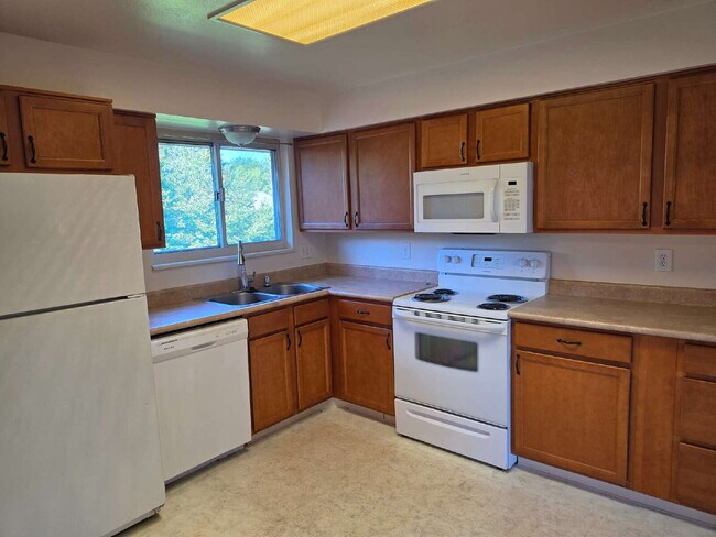 Building Photo - "Charming 3-Bed Retreat with Finished Basement & Cozy Fireplace in Aurora!"