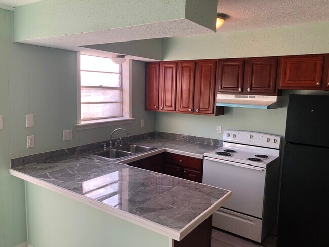 Kitchen - completely renovated and includes appliances - 1057 Tallow Tree Ln