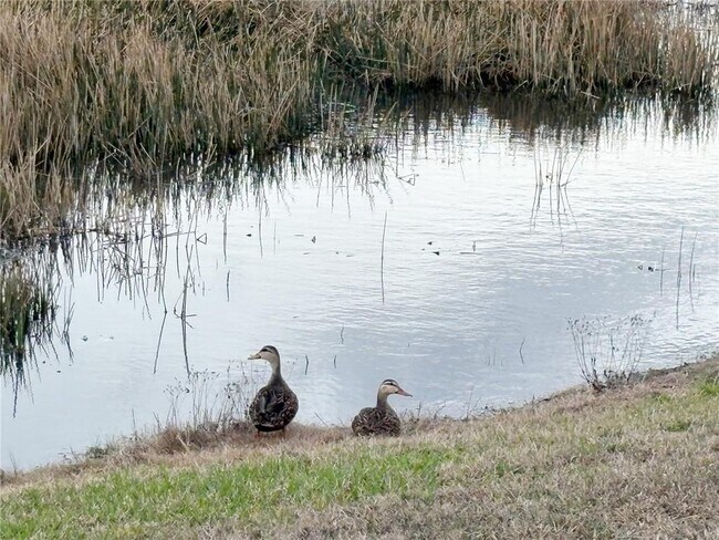 Building Photo - 11937 Bahia Valley Dr