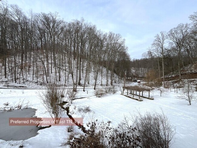 Building Photo - 709 Brown Mountain Rd