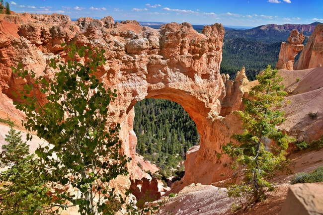 Building Photo - 220 Circle Dr