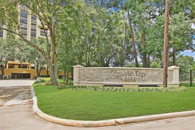 Building Photo - 14655 Champion Forest Dr Dr