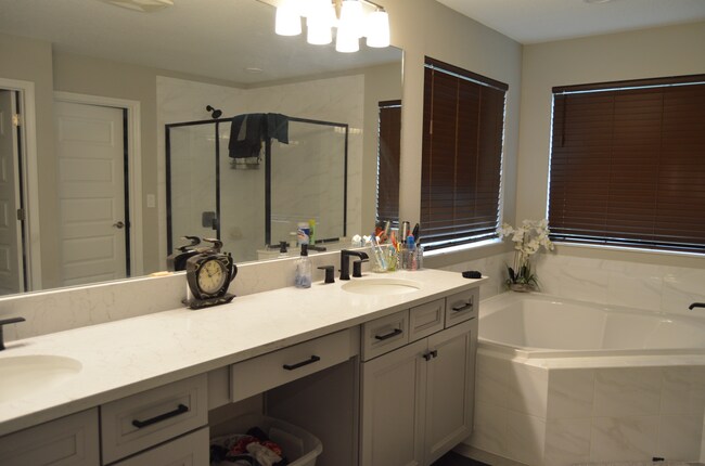 Building Photo - 10603 New Morning Dr