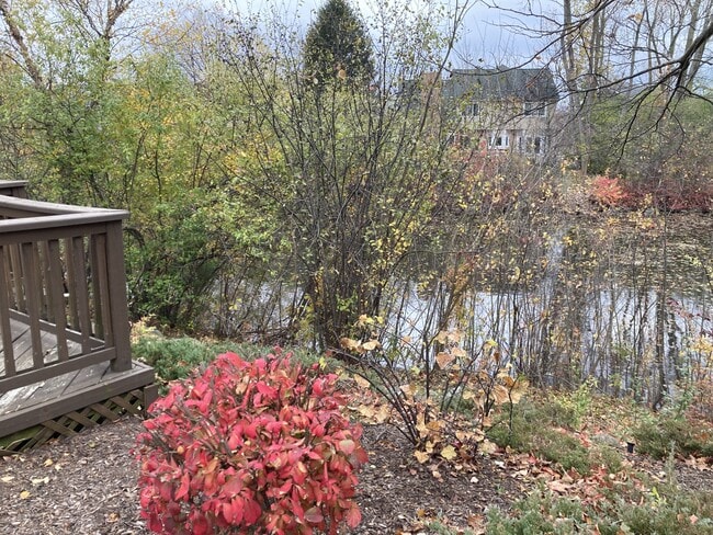 Building Photo - 41645 Copper Creek Dr