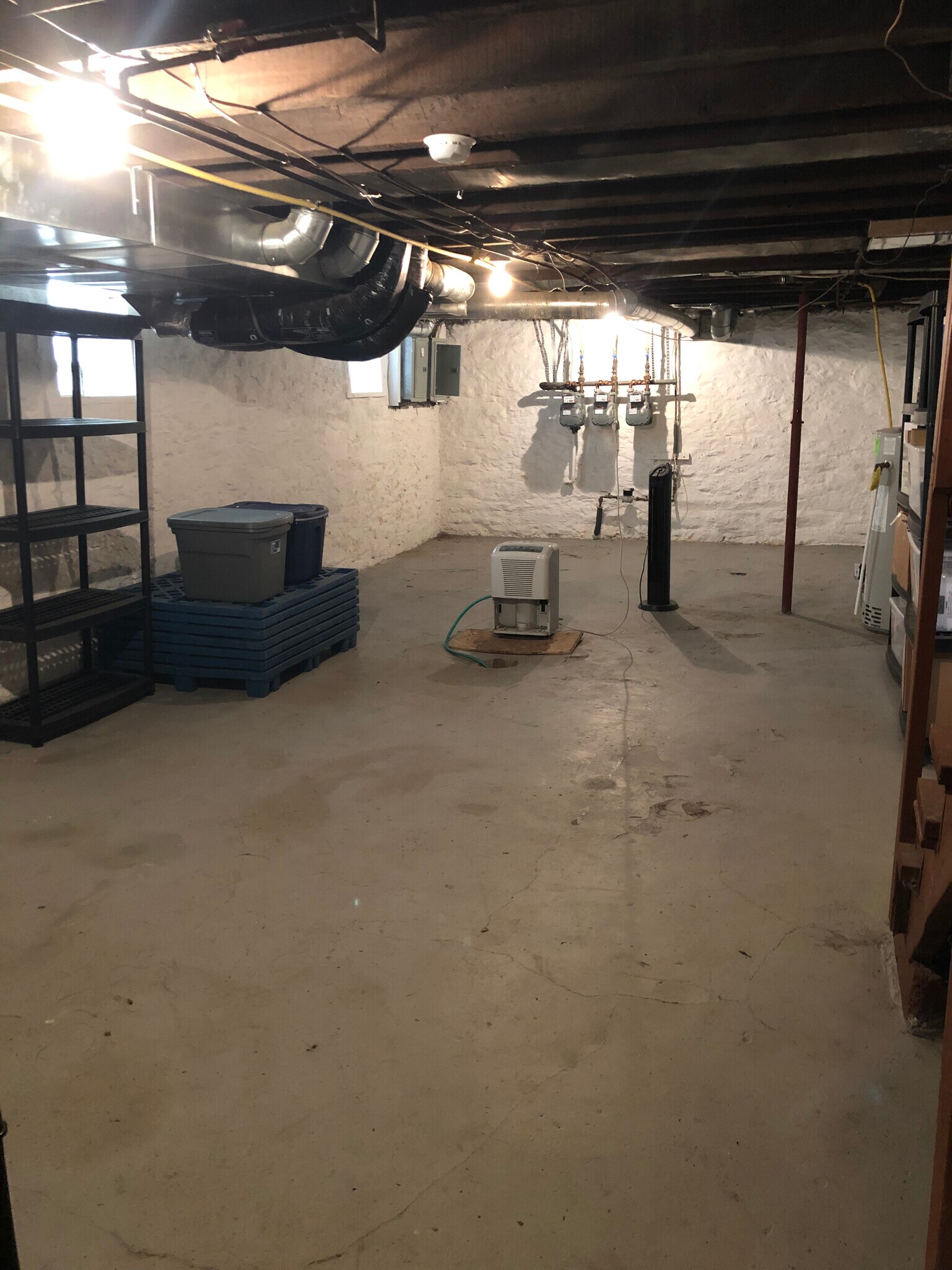 Building Photo - 113-1 Ivy St